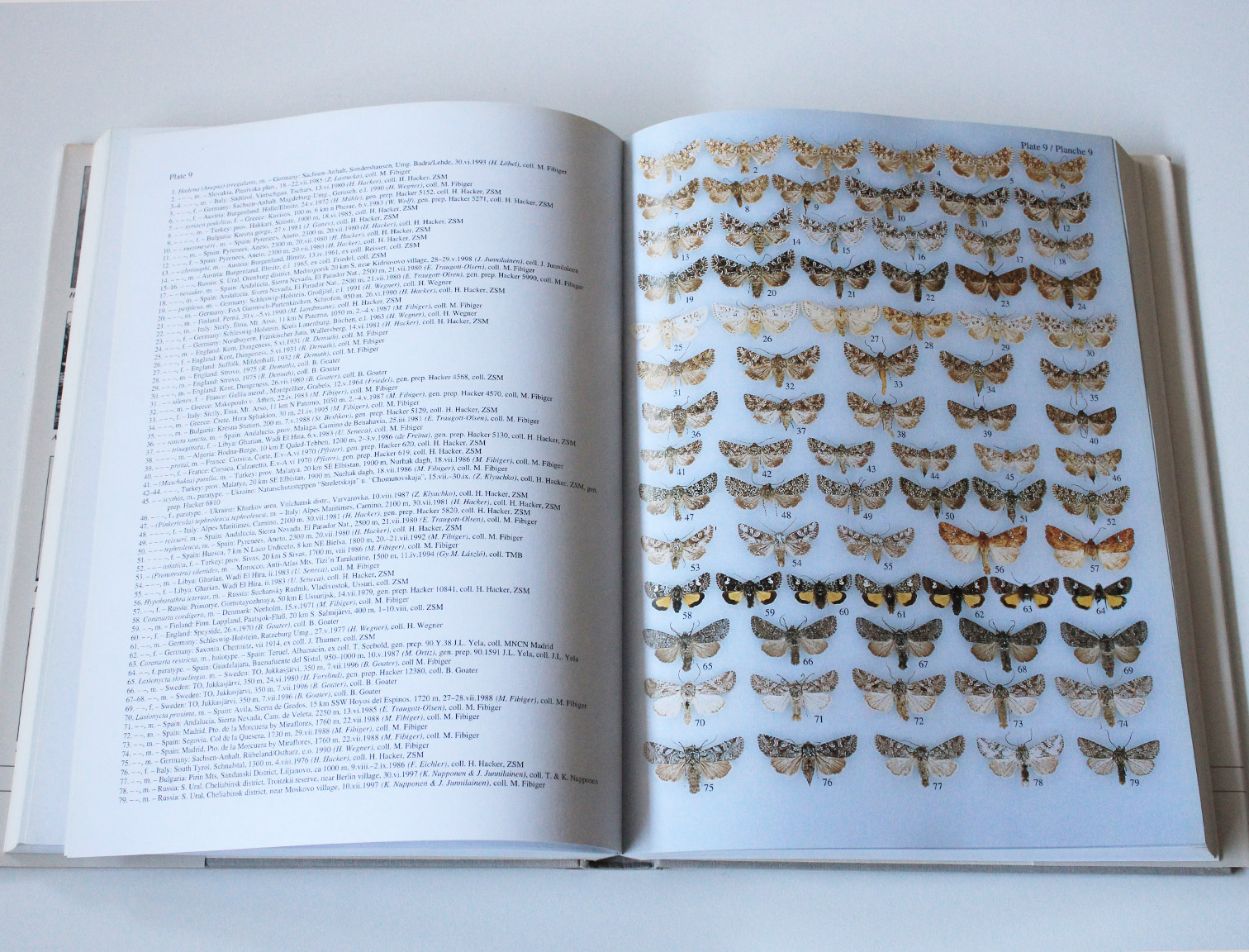 noctuidae europaeae vol.4.1
